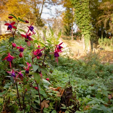 Appartamento Alte Falknerei
