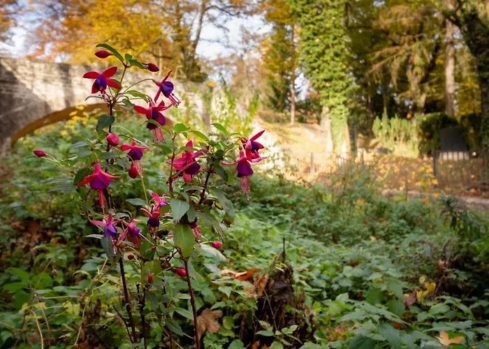 Appartamento Alte Falknerei